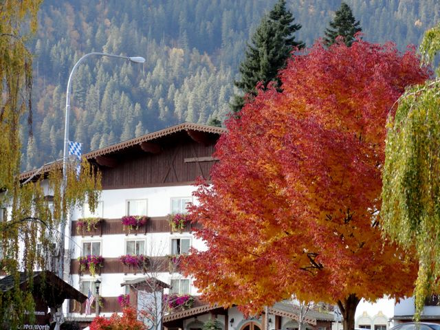 DSC01614_2 Leavenworth color